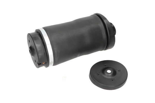 KAVO PARTS SAS10018 Пневморесора, ходова частина