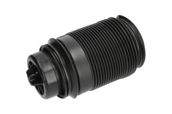KAVO PARTS SAS10019 Пневморесора, ходова частина