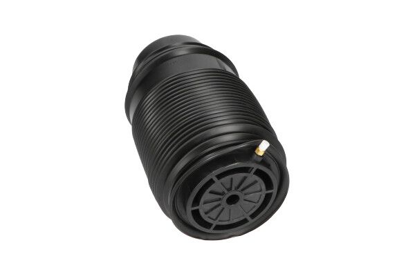 KAVO PARTS SAS10019 Пневморесора, ходова частина