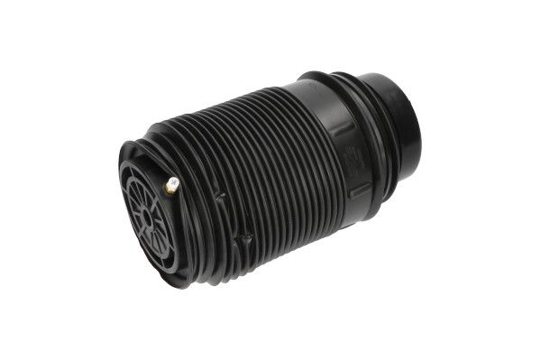 KAVO PARTS SAS10019 Пневморесора, ходова частина
