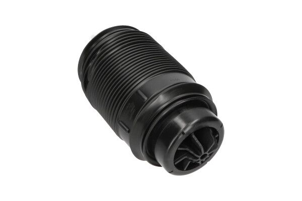 KAVO PARTS SAS10019 Пневморесора, ходова частина