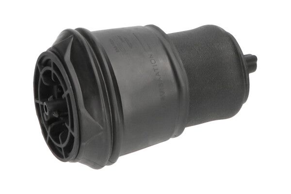 KAVO PARTS SAS10024 Пневморесора, ходова частина