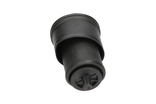 KAVO PARTS SAS10024 Пневморесора, ходова частина