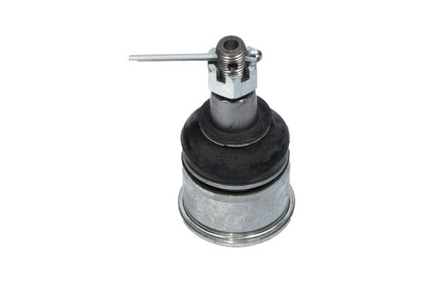 KAVO PARTS SBJ2024 Опора кульова (передня/знизу) Honda Accord 2.0-2.4 03-
