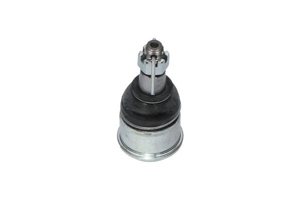 KAVO PARTS SBJ2024 Опора кульова (передня/знизу) Honda Accord 2.0-2.4 03-