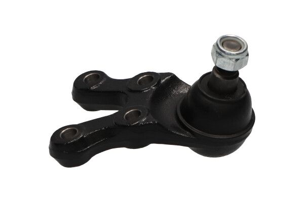 KAVO PARTS SBJ3024 Опора кульова (передня/знизу) Hyundai Terracan 01-06