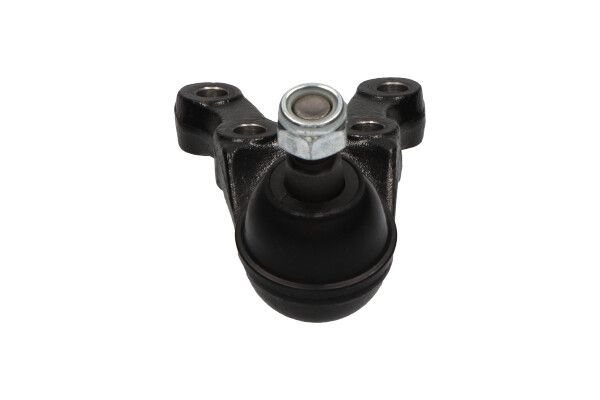 KAVO PARTS SBJ3024 Опора кульова (передня/знизу) Hyundai Terracan 01-06