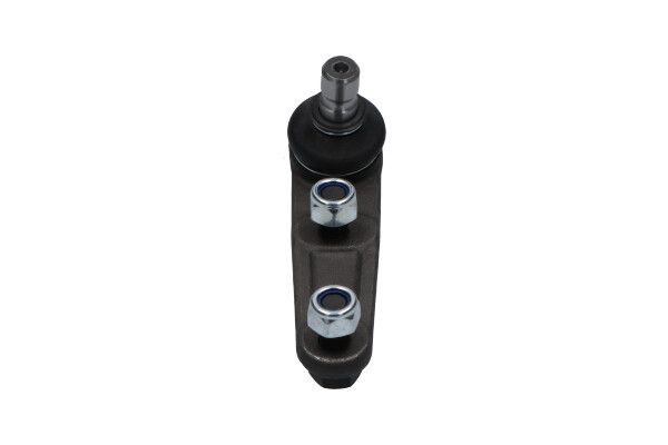 KAVO PARTS SBJ4502 Опора кульова (передня/знизу) Mazda 323 1.3-1.8 16V 89-