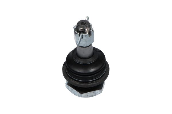 KAVO PARTS SBJ6501 Опора кульова (передня/знизу) Nissan Navara 2.5 TD 98-07