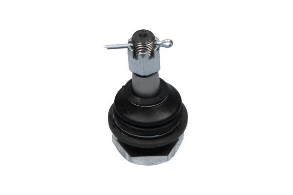 KAVO PARTS SBJ6501 Опора кульова (передня/знизу) Nissan Navara 2.5 TD 98-07