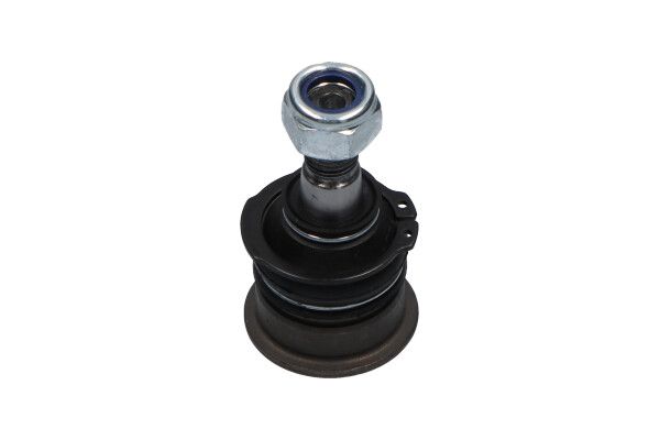 KAVO PARTS SBJ6508 Опора кульова (передня/знизу) Nissan Primera/Sunny 86-02/Almera II 00-