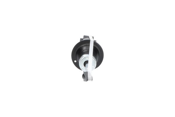 KAVO PARTS SSA10201 Амортизатор