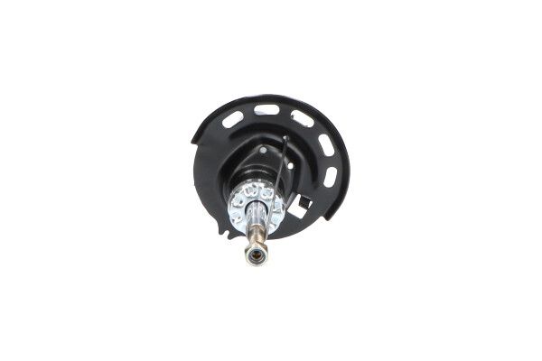 KAVO PARTS SSA10209 Амортизатор