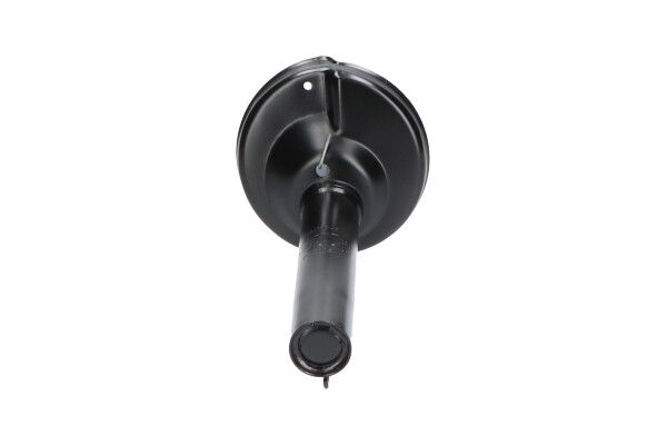 KAVO PARTS SSA10246 Амортизатор