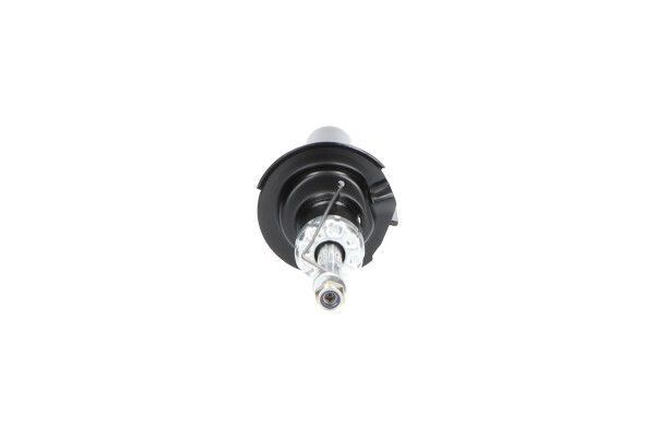 KAVO PARTS SSA10321 Амортизатор