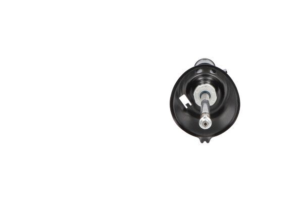KAVO PARTS SSA10479 Амортизатор
