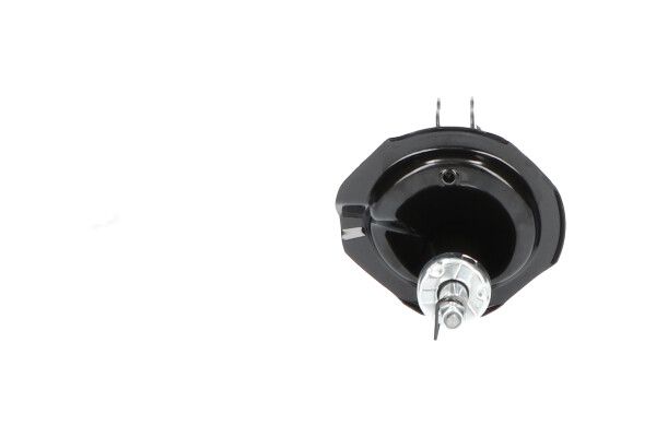 KAVO PARTS SSA5519 Амортизатор