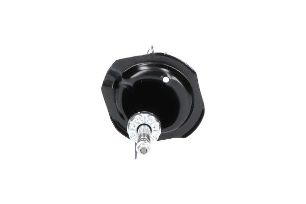KAVO PARTS SSA5520 Амортизатор
