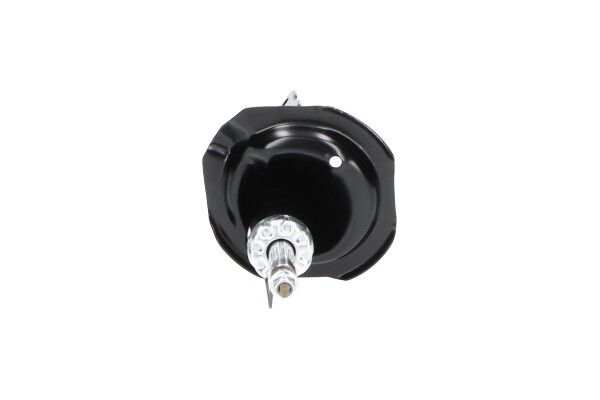 KAVO PARTS SSA5521 Амортизатор