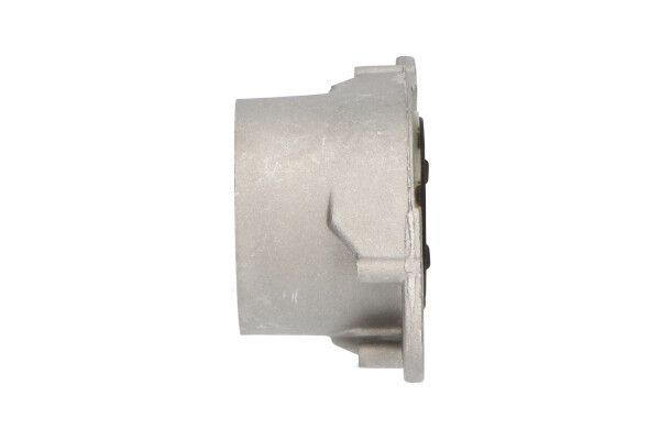 KAVO PARTS SSM10054 Верхня опора, стійка амортизатора