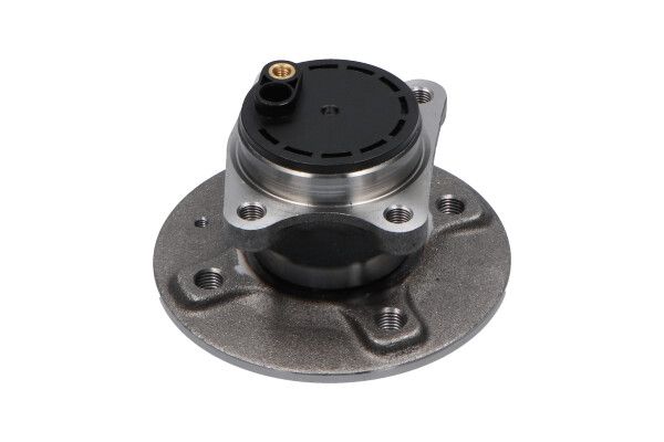 KAVO PARTS WBH9009 Комплект колісних підшипників