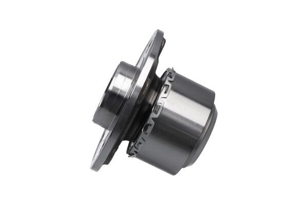 KAVO PARTS WBK10038 Комплект колісних підшипників