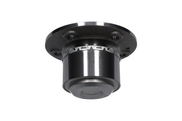 KAVO PARTS WBK10038 Комплект колісних підшипників