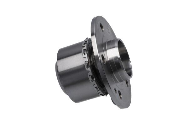 KAVO PARTS WBK10038 Комплект колісних підшипників