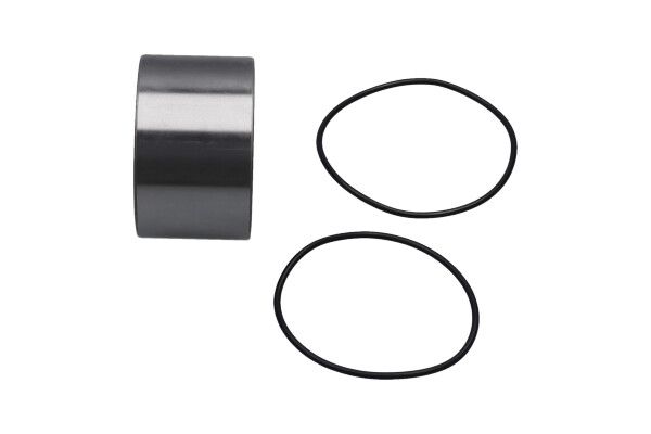 KAVO PARTS WBK10049 Підшипник маточини (задньої) Iveco Daily IV-VI 06- (55x90x55)