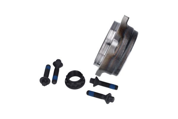 KAVO PARTS WBK10115 Комплект колісних підшипників