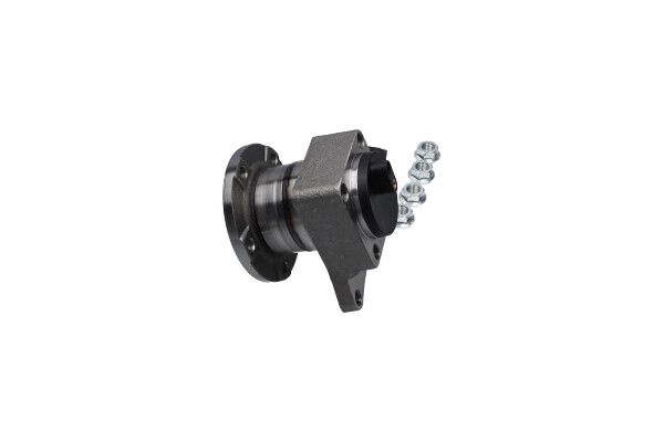 KAVO PARTS WBK10120 Комплект колісних підшипників