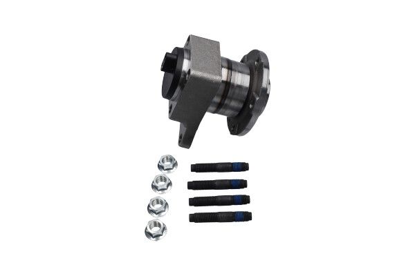 KAVO PARTS WBK10120 Комплект колісних підшипників
