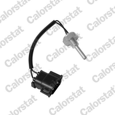 WS2561 VERNET Датчик температури охолоджуючої рідини