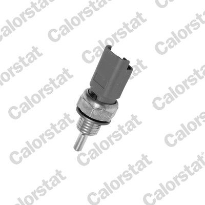 WS2606 VERNET Датчик температури охолоджуючої рідини