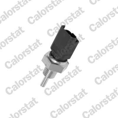 WS2608 VERNET Датчик температури охолоджуючої рідини