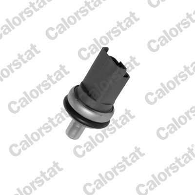 WS2610 VERNET Датчик температури охолоджуючої рідини