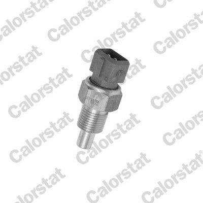 WS2613 VERNET Датчик температури охолоджуючої рідини