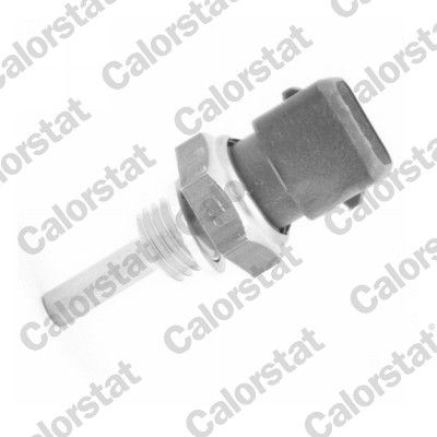 WS3002 VERNET Датчик температури охолоджуючої рідини