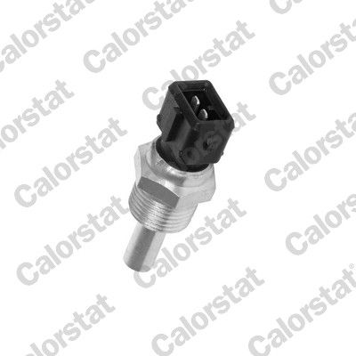 WS3005 VERNET Датчик температури охолоджуючої рідини