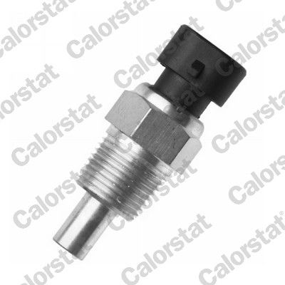 WS3021 VERNET Датчик температури охолоджуючої рідини