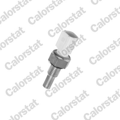 WS3039 VERNET Датчик температури охолоджуючої рідини