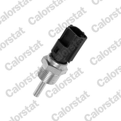 WS3041 VERNET Датчик температури охолоджуючої рідини