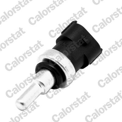 WS3046 VERNET Датчик температури охолоджуючої рідини