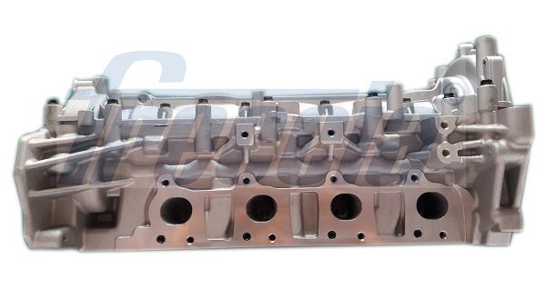Freccia CH171004 Головка блоку циліндрів на Рено Сценік III 2.0 dCi '09-