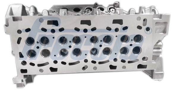 Freccia CH171004 Головка блоку циліндрів на Рено Сценік III 2.0 dCi '09-