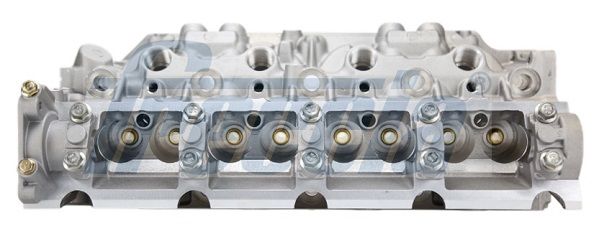 Freccia CH171005 ГБЦ RENAULT CLIO II 1.9 D '98-'05