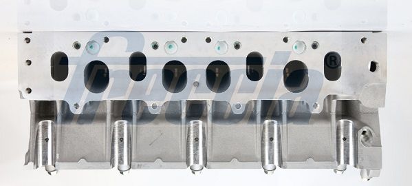 Freccia CH171005 ГБЦ RENAULT CLIO II 1.9 D '98-'05