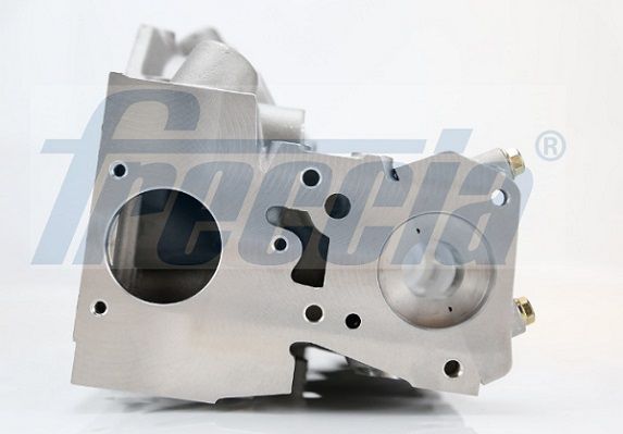 Freccia CH171005 ГБЦ RENAULT CLIO II 1.9 D '98-'05