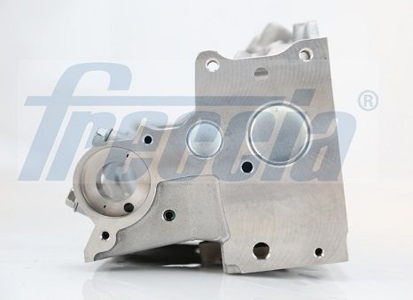 Freccia CH171005 ГБЦ RENAULT CLIO II 1.9 D '98-'05