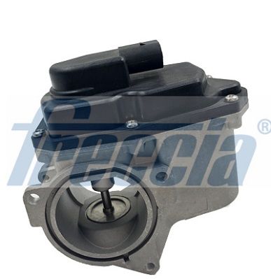 Freccia EGR12123 Клапан рецеркуляції відпрацьованих газів